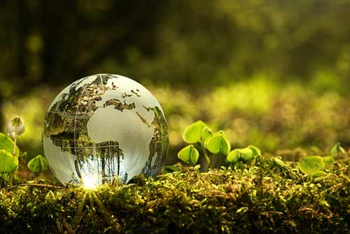 glass globe in a forest resting on the ground surrounded by moss