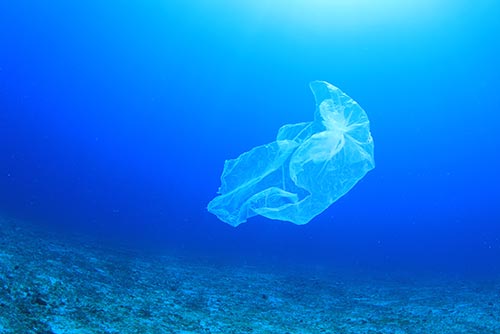 phs besafe plastic bag waste floating in a blue ocean