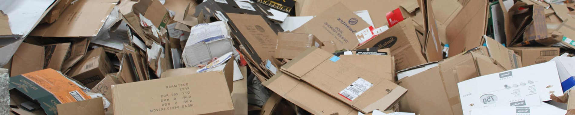 cardboard waste