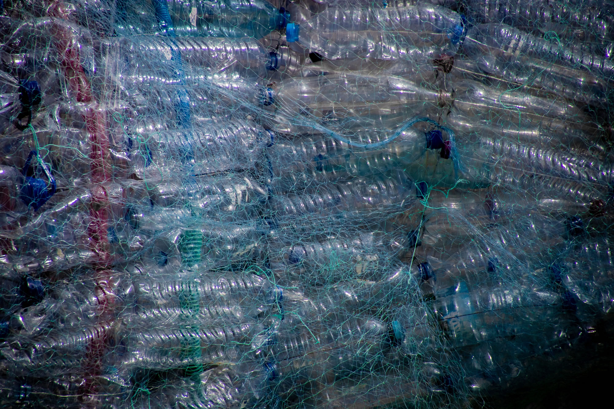plastic bottle waste